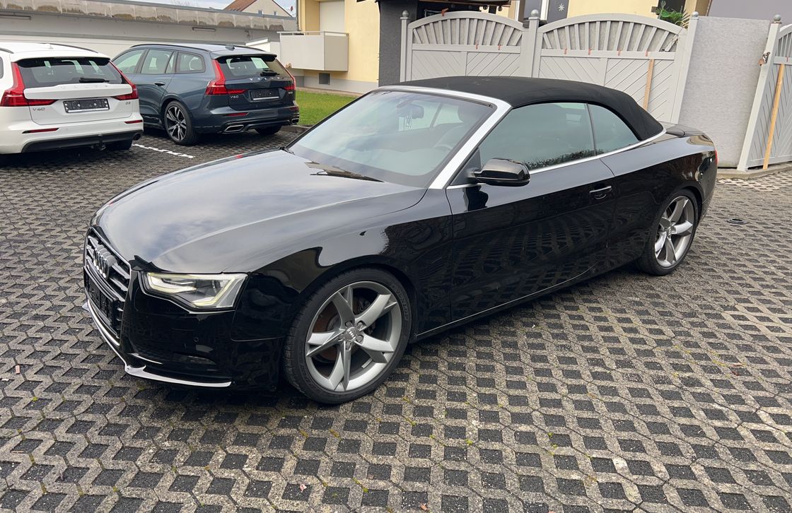 CarAudit karta auta